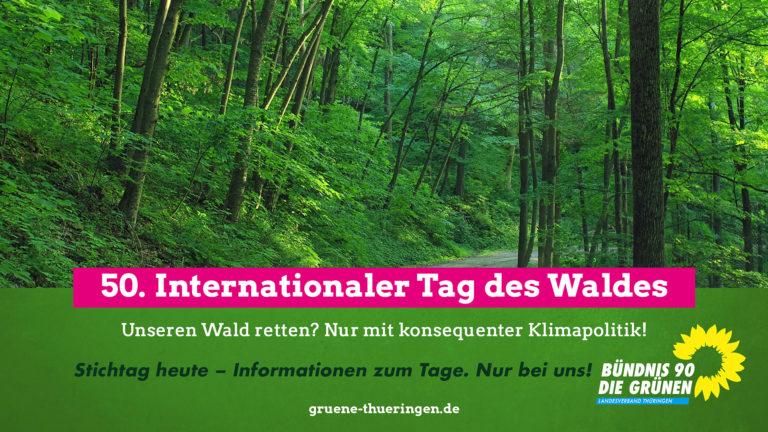 Wälder und Flüsse in alarmierendem Zustand – da hilft nur konsequenter Klimaschutz