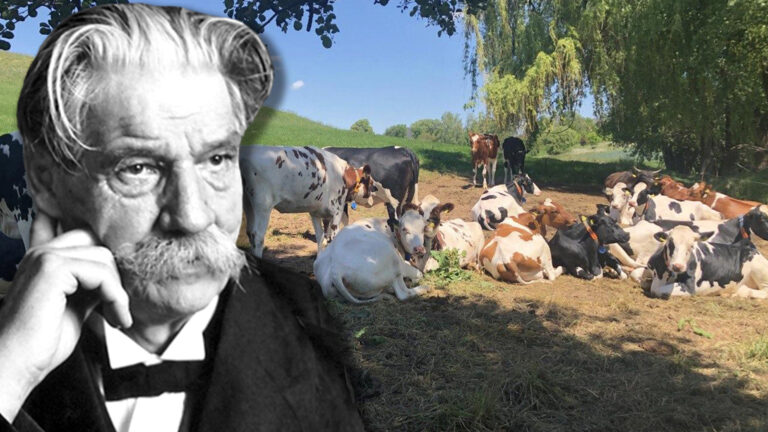 Albert Schweitzer und der Weltbauerntag
