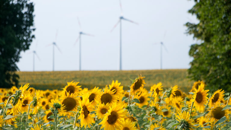 Für Klima, Umwelt und Natur