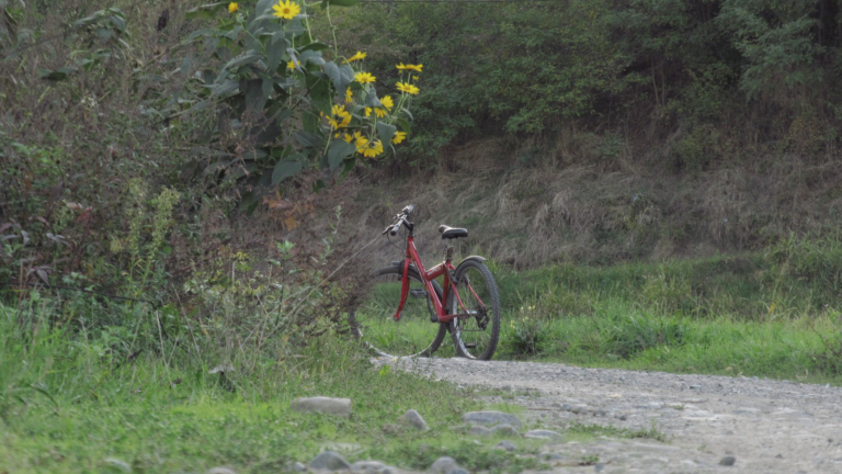 Thüringer*innen wollen sicher Fahrradfahren – GRÜNE: Landesregierung muss mehr tun für sichere Bedingungen