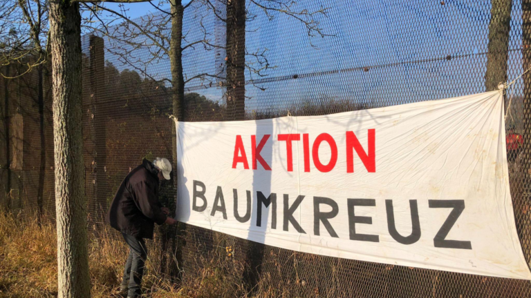 Auch in diesem Jahr: BAUMKREUZ Ifta fortpflanzen