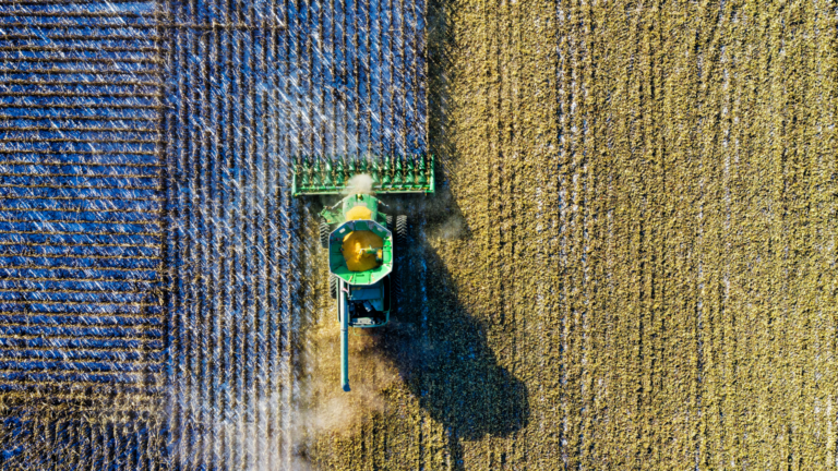 Rückgang der Wintervögel ist Alarmzeichen – GRÜNE: Artenschutzsofortprogramm JETZT! – Lebensräume sichern und Flächenverbrauch stoppen