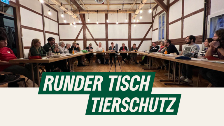 Tierschutz im Fokus: Grüne laden zu Rundem Tisch ein