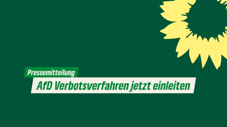 AfD Verbotsverfahren jetzt einleiten