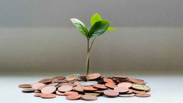 Brombeer-Regierung ignoriert Realität: Höhere Steuereinnahmen erfordern dringende Haushaltsanpassung