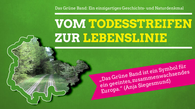 #GrünesBand: Anja Siegesmund sommertourt ab Montag