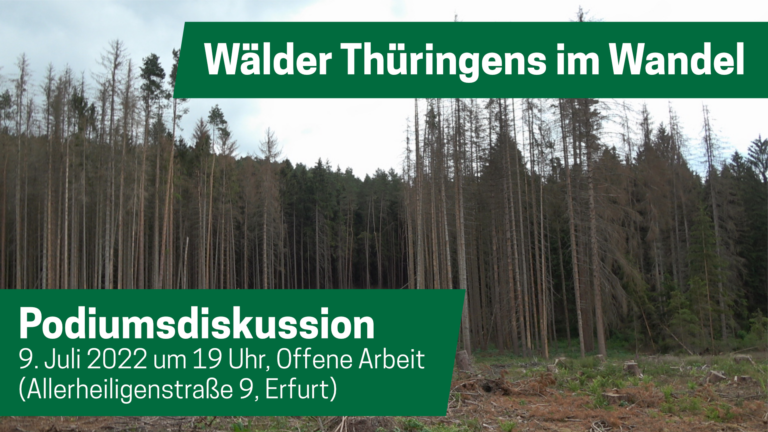 Wälder Thüringens im Wandel: Filmvorführung & Podiumsdiskussion
