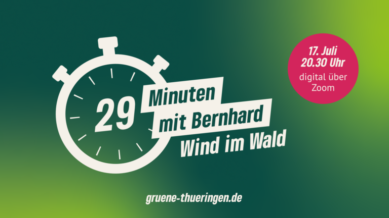 29 Minuten mit Bernhard: Wind im Wald